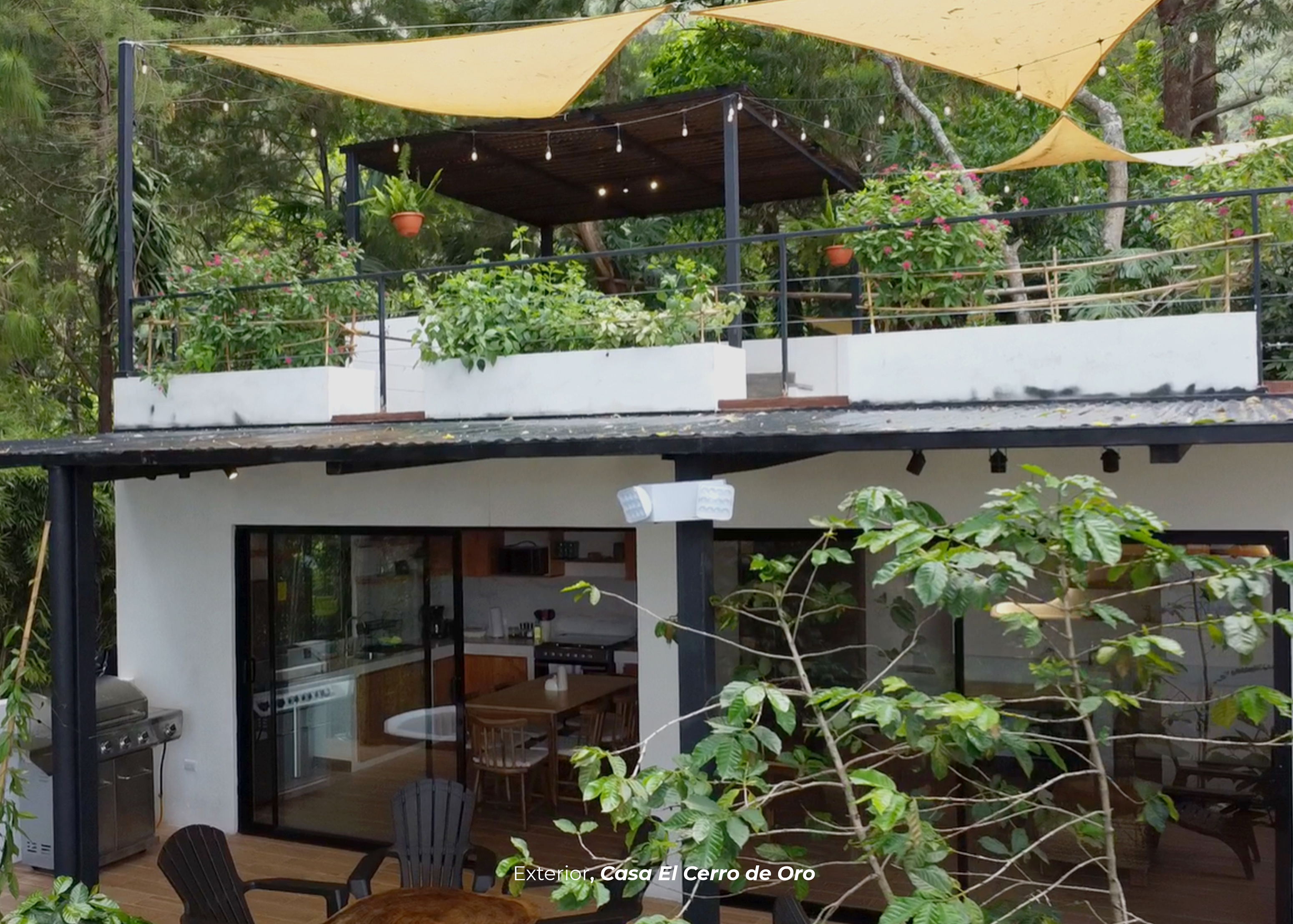 EL ELEFANTE Y LA BOA